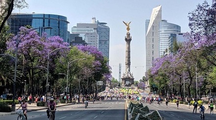 Roteiro rápido de 1 dia na Cidade do México