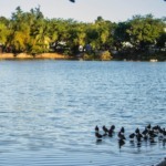 Passeio no Lago Jacarey em Fortaleza