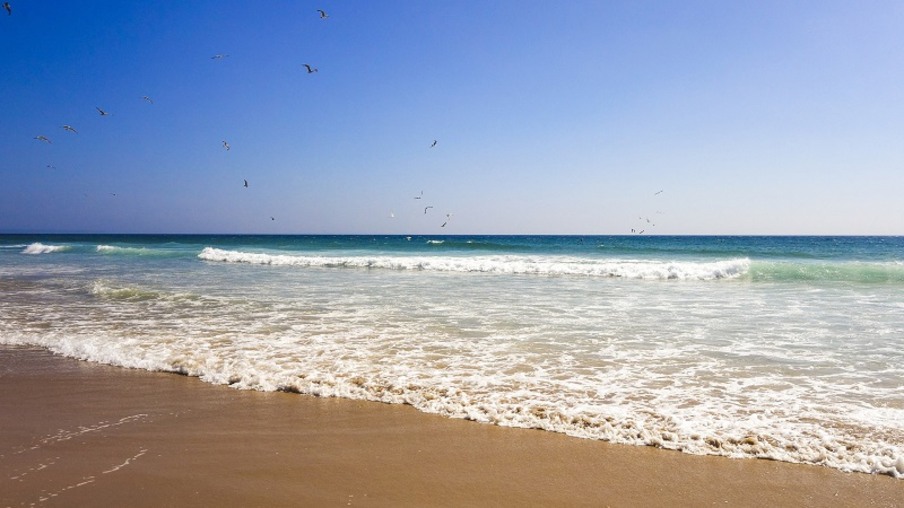 Melhores Praias de Portugal, Novidades