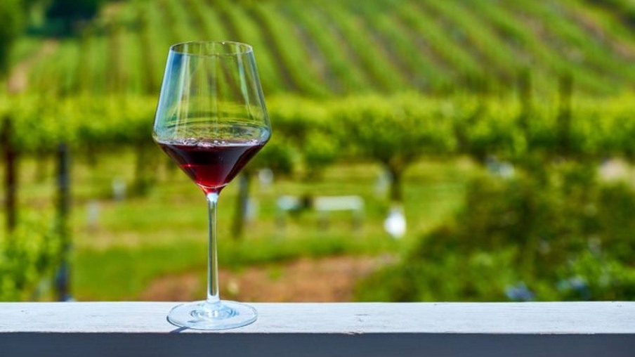 Guia completo de 15 vinícolas incríveis no Uruguai