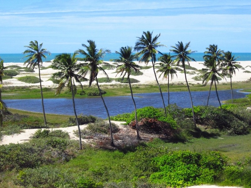 Praia de Cumbuco em Fortaleza