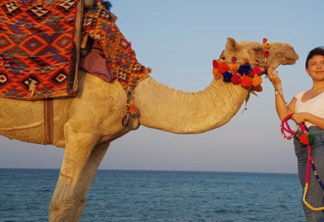 Passeio de camelo pelo deserto de Marsa Alam