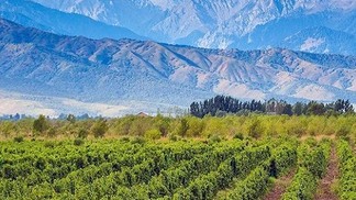 Vinícolas imperdíveis em Mendoza