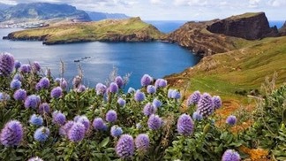 Quais são os meses de alta e baixa temporada na Ilha da Madeira?