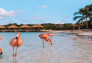 7 melhores praias de Aruba
