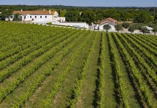 Roteiro pelas vinícolas de Portugal