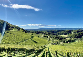 Roteiro de vinícolas pela Áustria