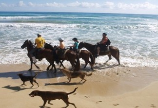 Ingresso do passeio a cavalo pela praia Uvero Alto