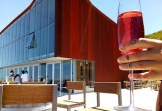 Roteiro de vinícolas pelo Uruguai: Dicas imperdíveis!