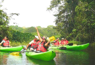 Como visitar a Reserva Gamboa Rainforest
