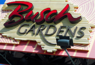Guia do Parque Busch Gardens em Orlando