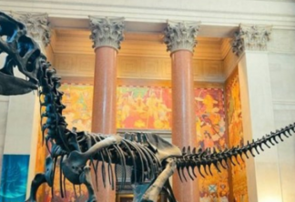 Visita ao Museu de História Natural em Nova York