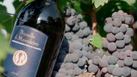 Vinho Brunello di Montalcino