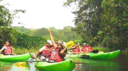 Como visitar a Reserva Gamboa Rainforest