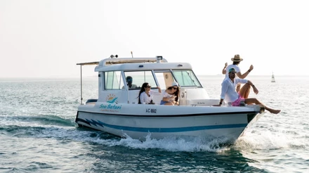 Excursão para as ilhas Al Bahrani e Dolphin