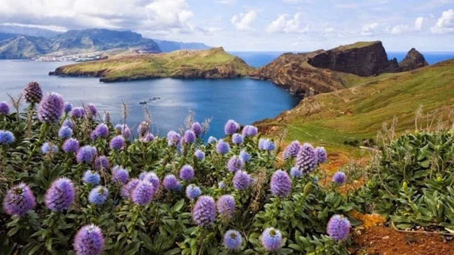 Quais são os meses de alta e baixa temporada na Ilha da Madeira?
