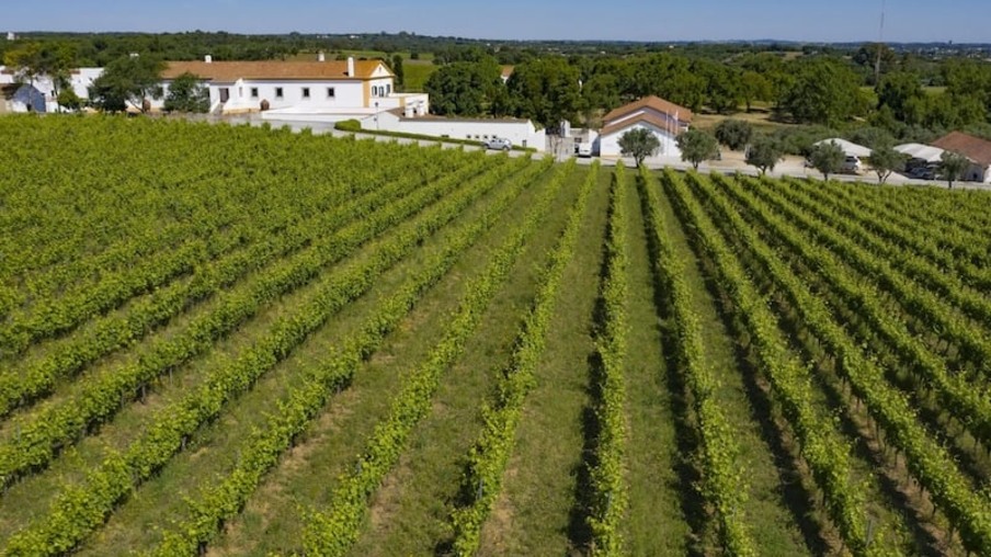 Roteiro pelas vinícolas de Portugal