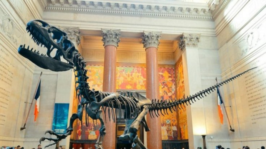 Visita ao Museu de História Natural em Nova York