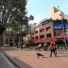 O que fazer na Zona Rosa em Bogotá