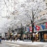 Quando neva em Zurique?