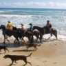 Ingresso do passeio a cavalo pela praia Uvero Alto
