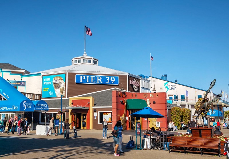 17 melhores coisas para fazer em San Francisco na Califórnia: Pier 39