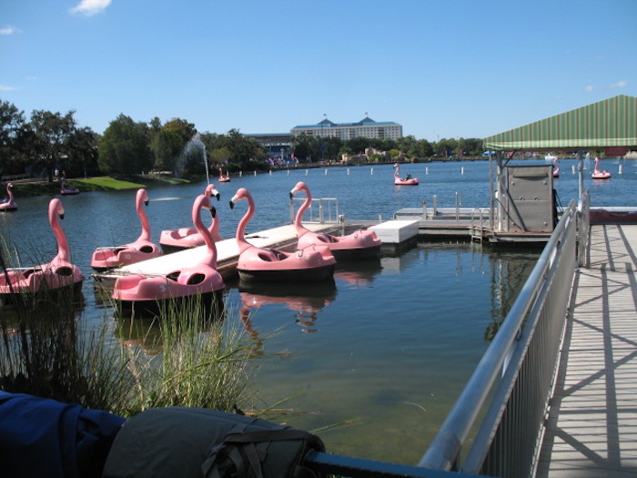 Flamingo Paddle Boats no SeaWorld