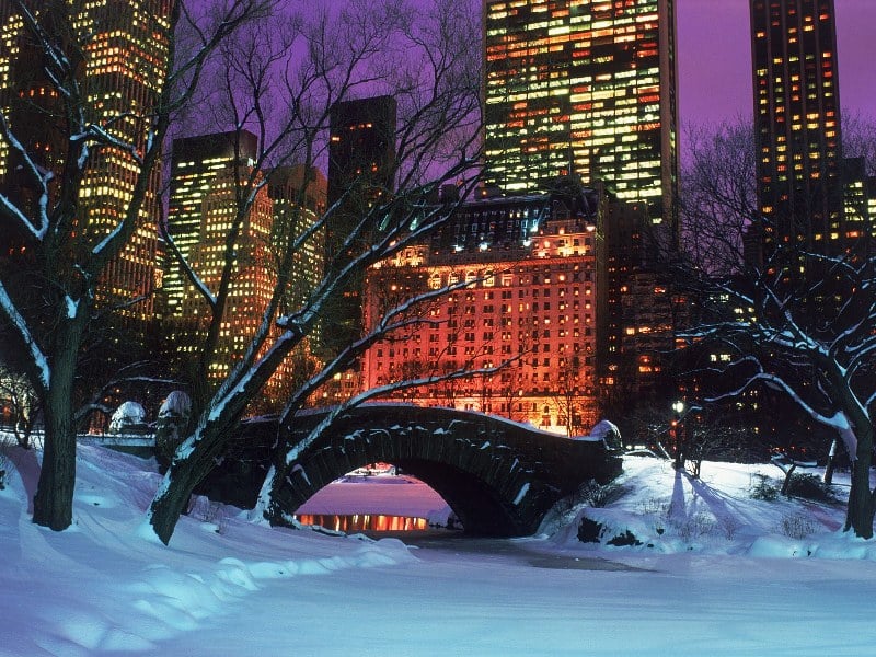 Central Park no inverno