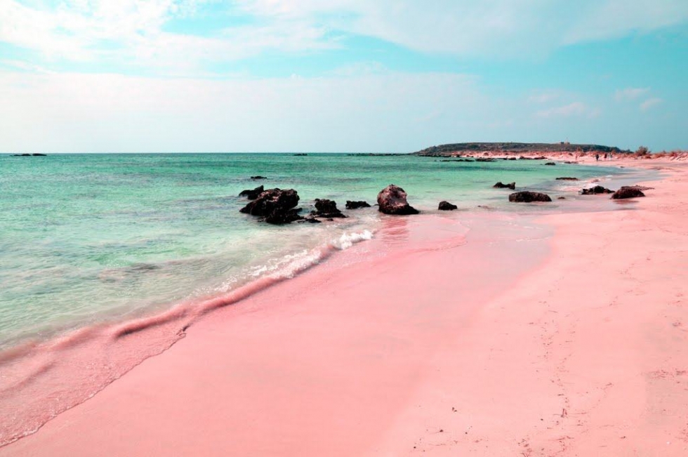 Pink Sands 