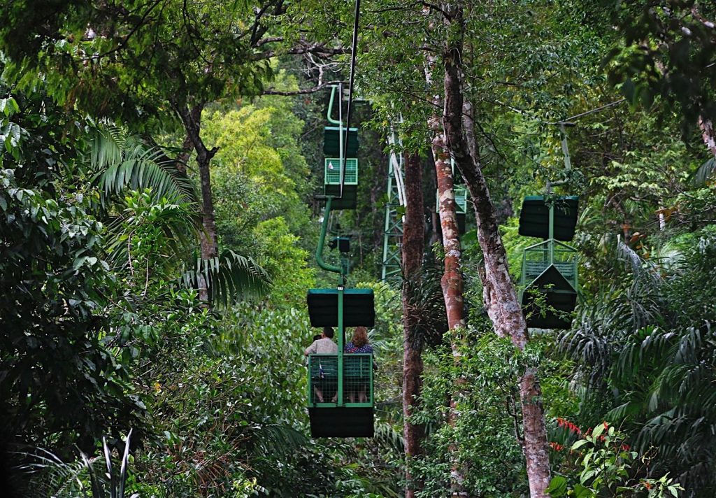 Reserva Gamboa Rainforest