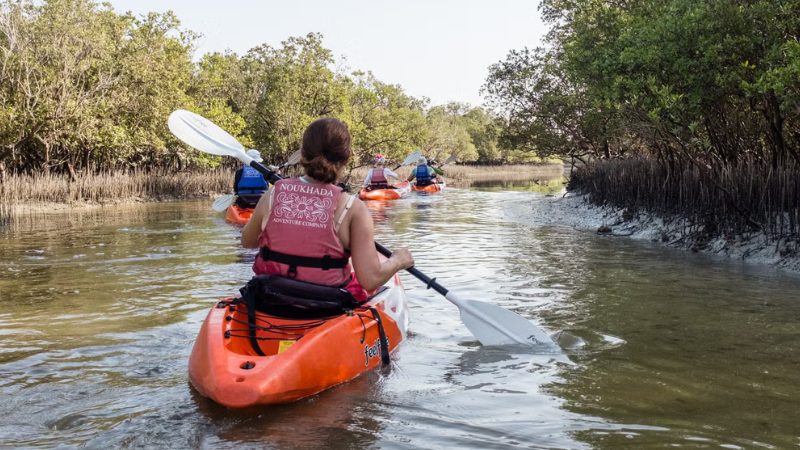 Tour de caiaque no Mangrove National Park