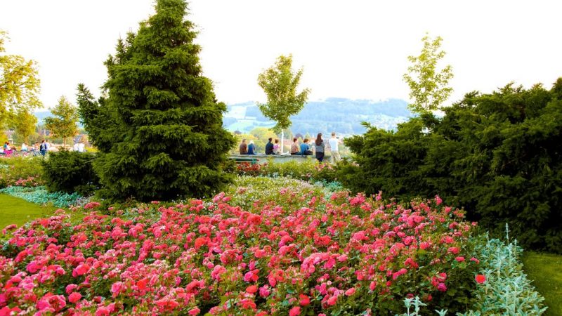 Jardim das Rosas, Berna, Suíça