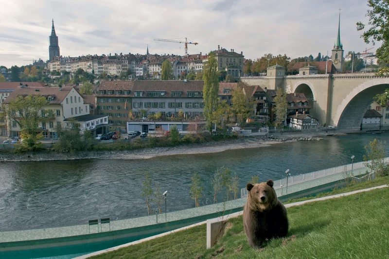 Parque dos Ursos, Berna, Suíça