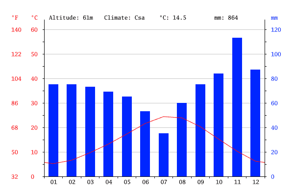 Gráfico com os índices de temperatura e pluviosidade em Florença ao longo do ano.
